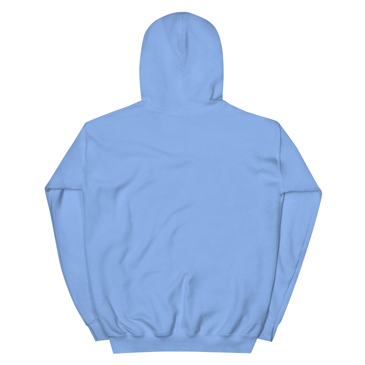 Light blue unisex cotton hoodie with “Build From Within” embroidery, soft, relaxed fit with minimalist detailing