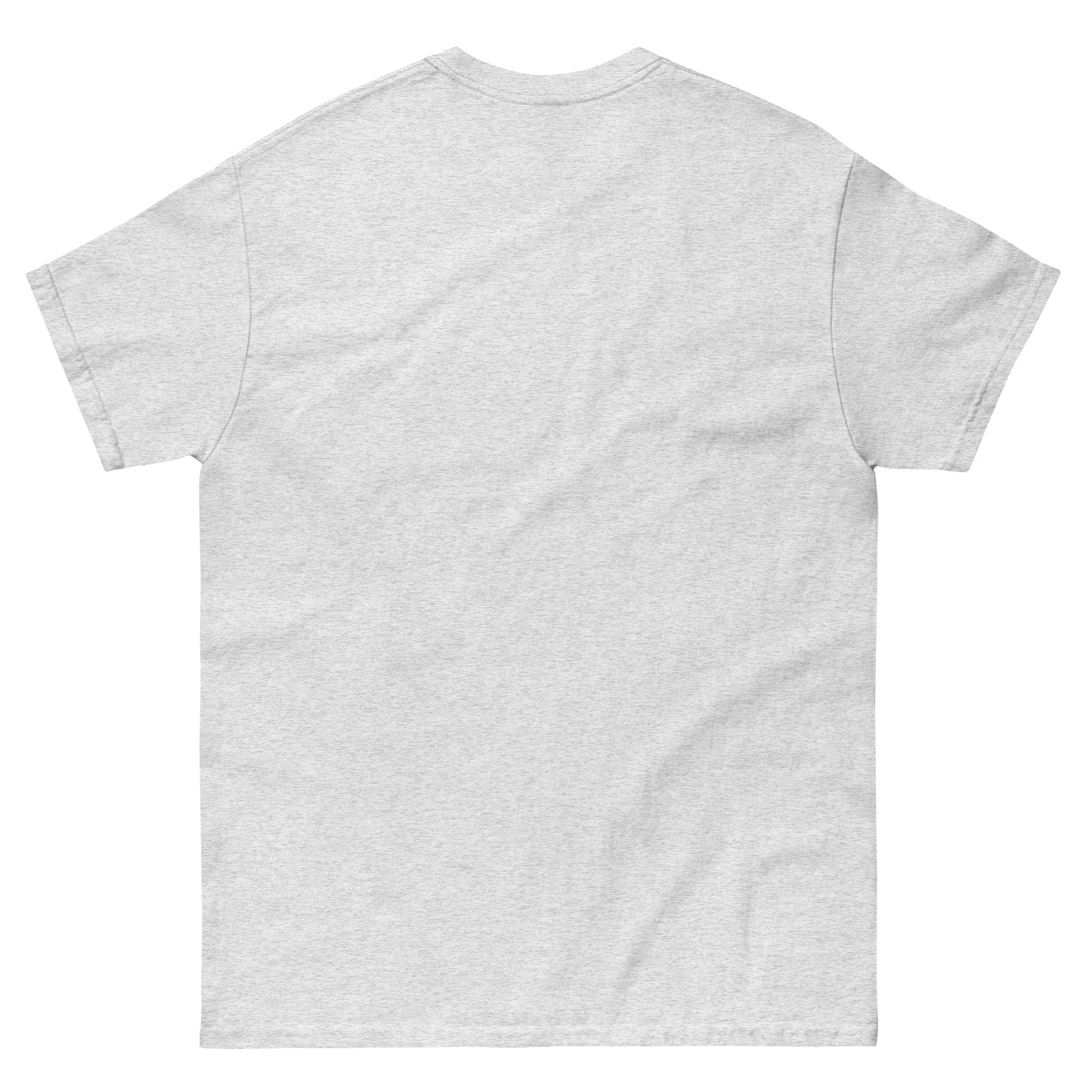 Back view of ash grey unisex cotton T-shirt from the Her Philosophies collection.