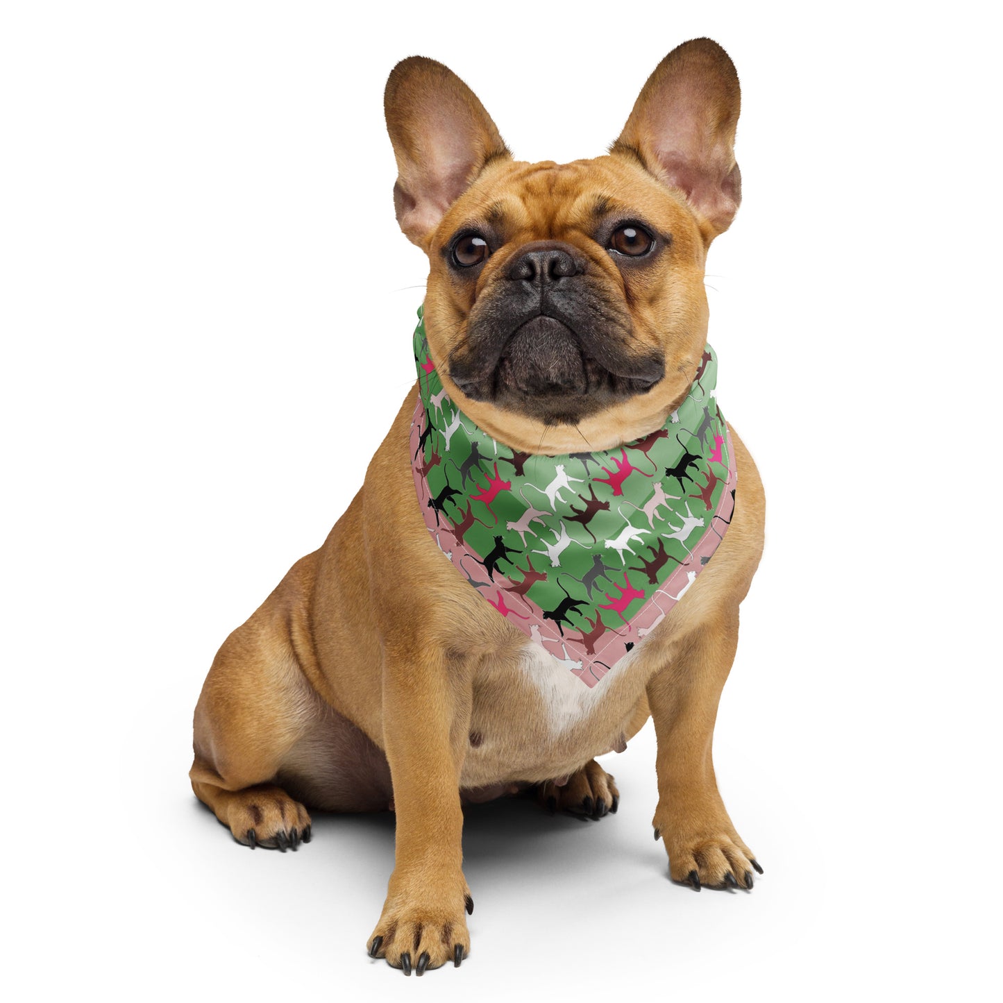 Cats bandana