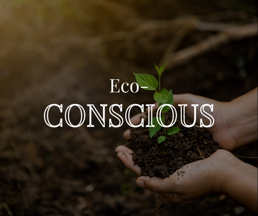 The Importance of Ecological Consciousness and the Urgency for Collective Action