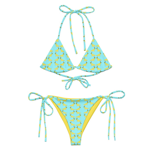 Lemon Sharks recycled string bikini