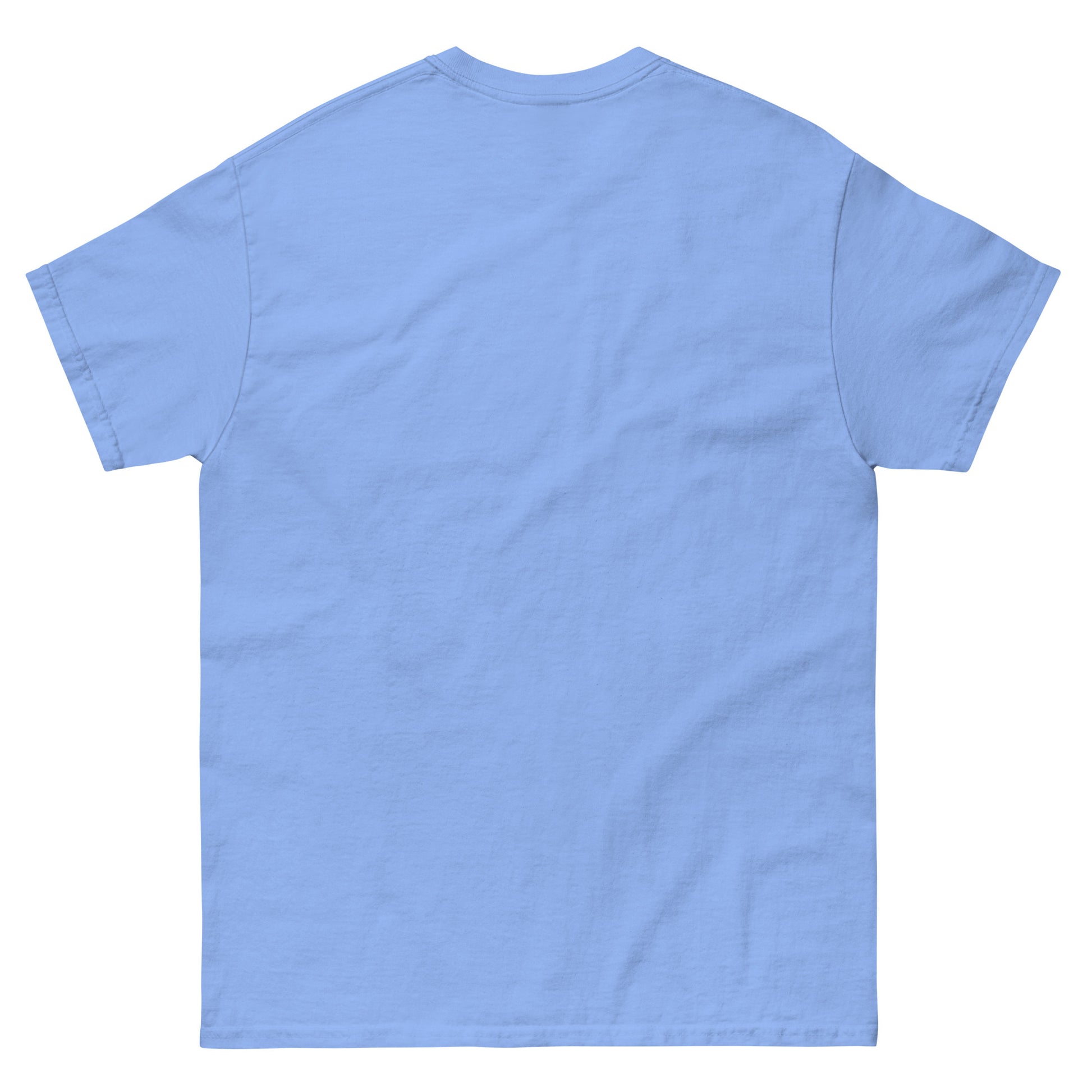 Back of Carolina Blue unisex cotton t-shirt with “Wisdom” print, minimalist design, soft and breathable fabric.