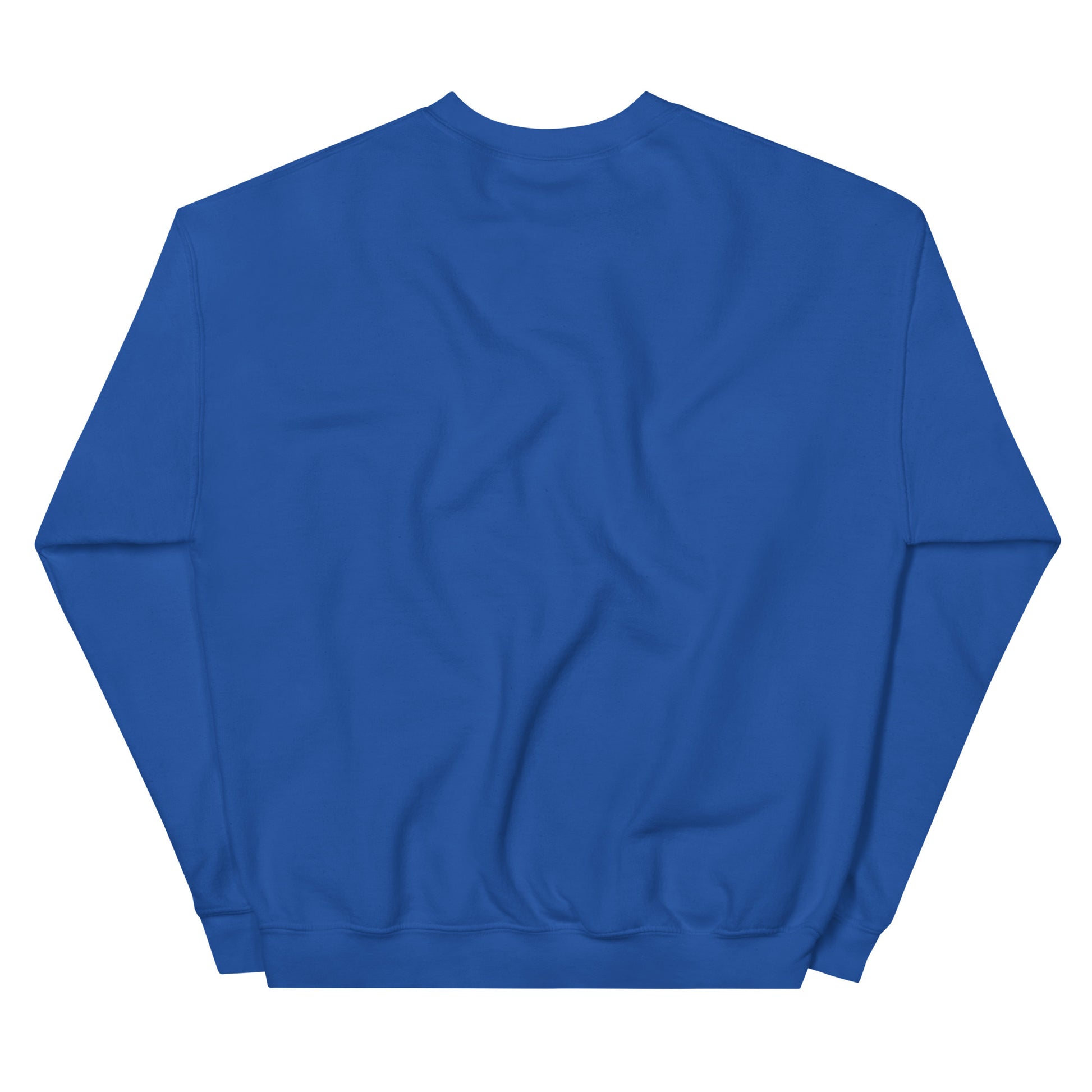 Back of Royal blue unisex cotton sweatshirt with “Be Here Now” embroidery and minimal line sailing boat, soft, relaxed fit.